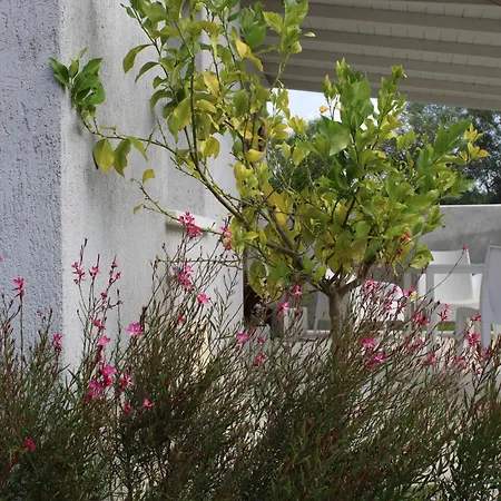 בית הארחה Lido Del Faro 4*