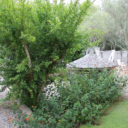 Lido Del Faro אולביה