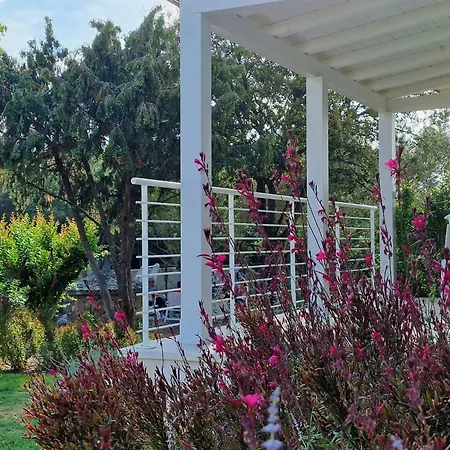 Lido Del Faro בית הארחה אולביה