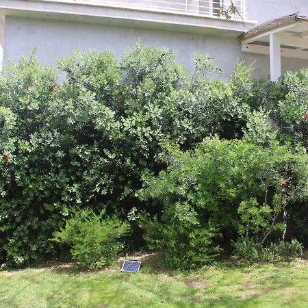 בית הארחה Lido Del Faro