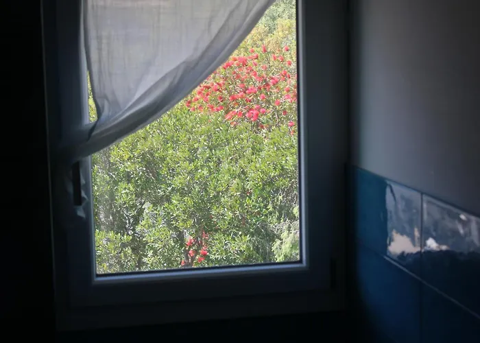 Lido Del Faro Gasthuis