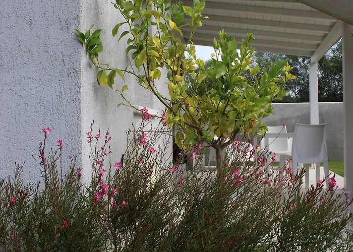 Gasthuis Lido Del Faro 4*