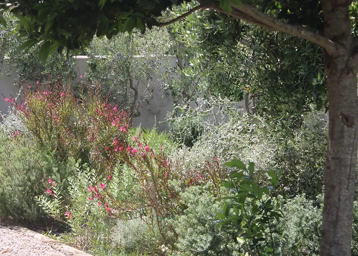 Gasthuis Lido Del Faro