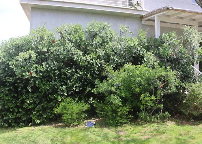 Πανσιόν Lido Del Faro